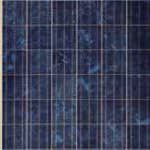 250 Watt Polycrystalline Solar Module